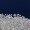 본21세기부동산중개사무소 이미지