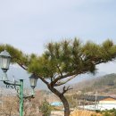 실원농장 네이버블로그