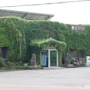 돌집식당 이미지