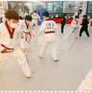 용인대 최고 태권도 이미지