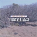 주식회사 자연의신비 | 제주 1100고지 습지, 자연 해설과 함께하는 생태 탐방