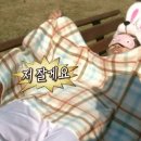 코나커피