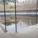 군자 낚시터 이미지