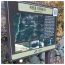교구정 | 성지순례지 죽림굴 영남알프스 천주교 부산교구