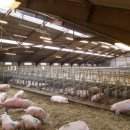 유전1농장 이미지