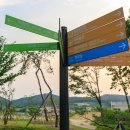 대공원광장대로 이미지