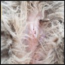 행담 동물병원 이미지