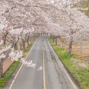 보령-주산-1 이미지