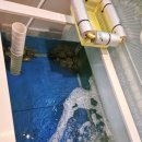 해담 | 대구 명덕역 남산동맛집 바다해담미역김밥 후기