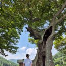 천하마을야영장 이미지