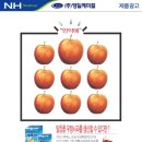 영일광고 - 군산시 문화2길 50 | 영일광고