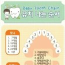 빼꼼