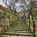 담서원 | 경주 운곡서원 은행나무 단풍 현황