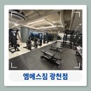 MSGym | 광주 서구 광천동 헬스장 엠에스짐 MSGYM 광천점1:1 피티 후기 추천