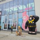 저동 여객선 터미널 옆 이미지