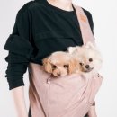 오즈동물병원 이미지