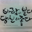 캘리이야기끌림