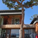 송림욕장 진입도로 | 대청호오백리길 드라이브/르카페 뷰카페