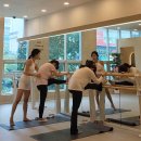 더뉴필라테스지도자협회 | 하루 만에 실전 강사로 성장! 글로벌필라테스협회(GPA) 바레 지도자 자격증 14기 & 실속 패키지 모집