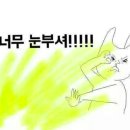 도도세차장 - 남구 봉선2로 104 | 도도세차장