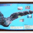 민1 태양광발전소 이미지