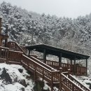 미산힐링 네이버블로그