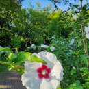 학운공원내 이미지