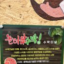 [충북 괴산군] 세계 유기농 산업 엑스포 마지막 날 후기