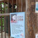 부여굿뜨래글램핑, 5월달 부여여행, 부여2박3일여행, 백제 역사 공부는 부여에서, 황포돛배, 구드래나루터