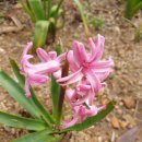 와썹PC방 이미지