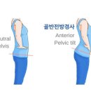 해밀턴짐 이미지