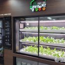 웰빙농장 이미지