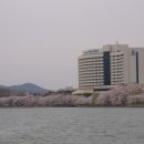 보문(부산) 네이버블로그