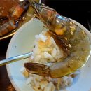 자연담은 이미지