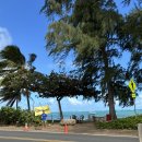 하와이새우트럭 순천점 | 하와이 쿠알로아랜치 근처, 지오반니 새우트럭 보다 맛있는 쉬림프 쉑 (Shrimp shack) 🦐