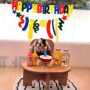 미미까까 이미지