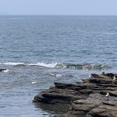 무진대로L 이미지