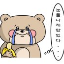 부에노스 펜션 이미지