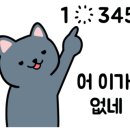 보리떼 모노