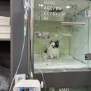 도야동물병원 이미지