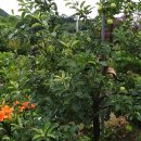 해미2농장 이미지