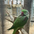 경주 동궁원 경주 버드파크 실내 동물원 먹이주기 체험 데이트