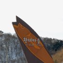 황태마을 이미지