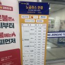 세종 고운동 노글라스 안경 알콘 원데이 #렌즈 저렴함 #내돈 ;)