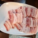 세부 보홀 여행 후기 1일차- 안경원숭이/ 초콜릿힐/ 마호가니숲/ 보홀 맛집 한식당 대장금