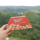 동산건기 이미지