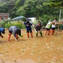 삼척남초등학교 이미지
