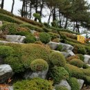 아산제일약국 이미지