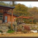 산청부동산공인중개사사무소 이미지