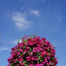 김홍도미술관 이미지